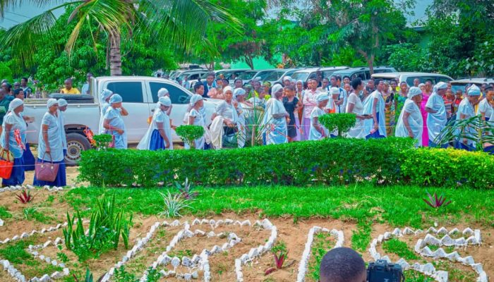 WhatsApp Image 2026-02-19 at 8.57.13 PM (1)